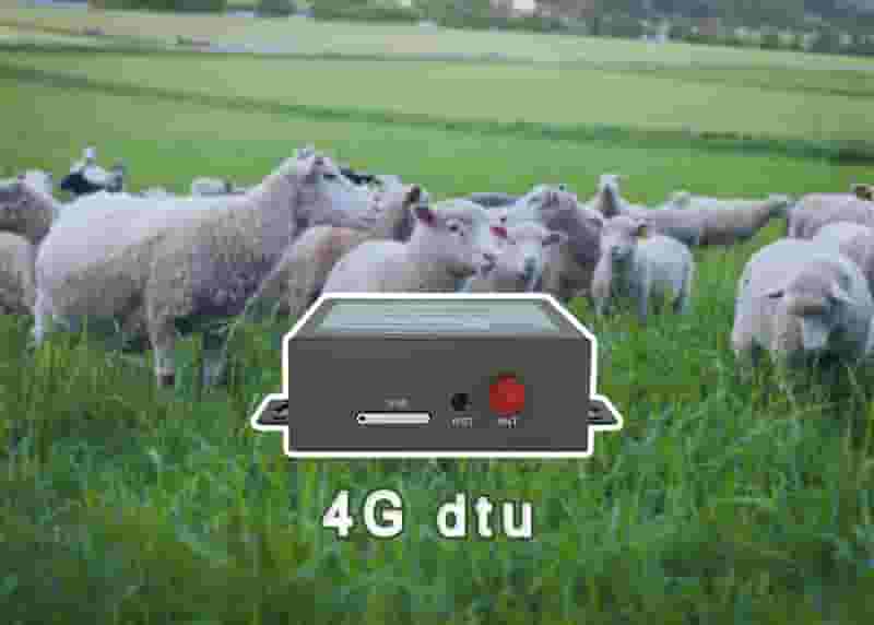 畜牧管理4Gdtu